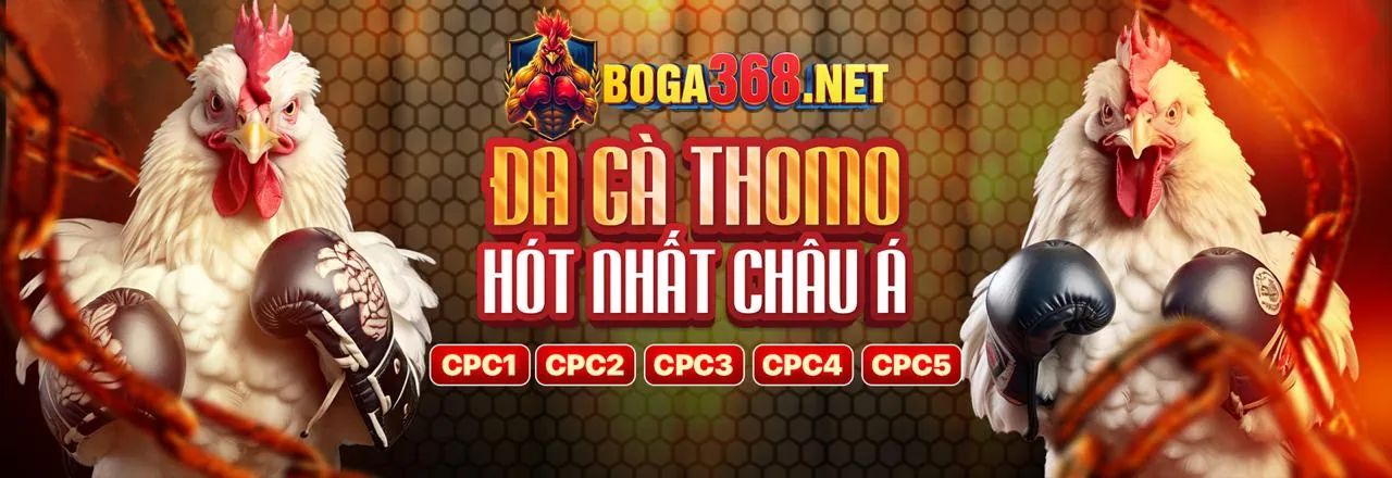 Tin tức và cập nhật mới nhất từ dv88